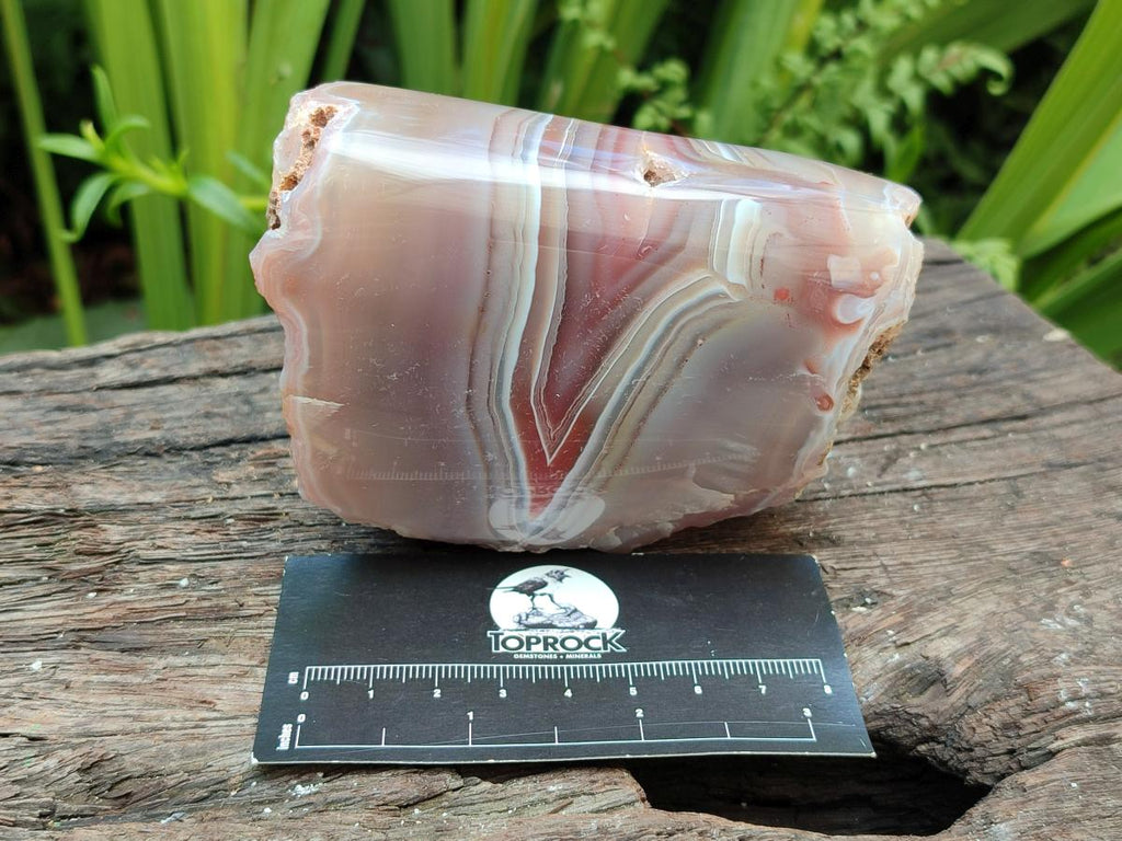 Polished Red Shashe River Agate Nodules x 6 From Shashe River, Zimbabwe