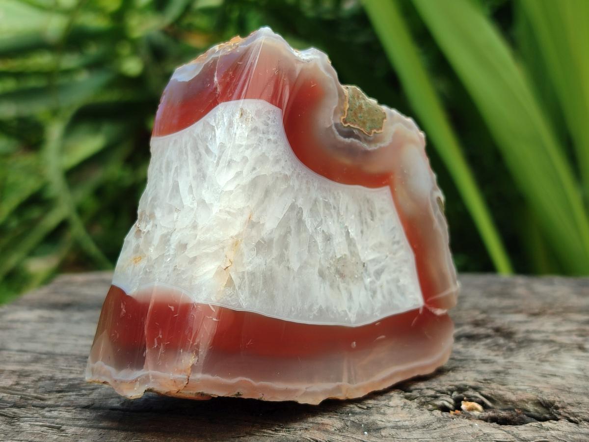 Polished Red Shashe River Agate Nodules x 6 From Shashe River, Zimbabwe