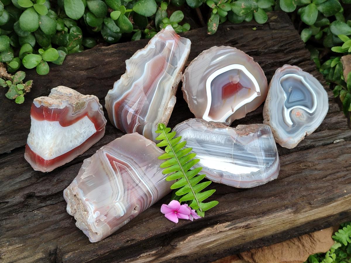 Polished Red Shashe River Agate Nodules x 6 From Shashe River, Zimbabwe