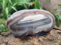 Polished Red Shashe River Agate Nodules x 6 From Shashe River, Zimbabwe