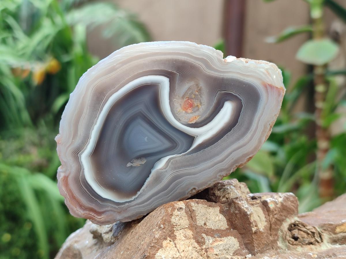 Polished Red Shashe River Agate Nodules x 6 From Shashe River, Zimbabwe