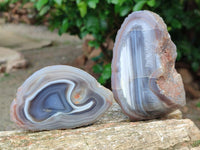 Polished Red Shashe River Agate Nodules x 6 From Shashe River, Zimbabwe