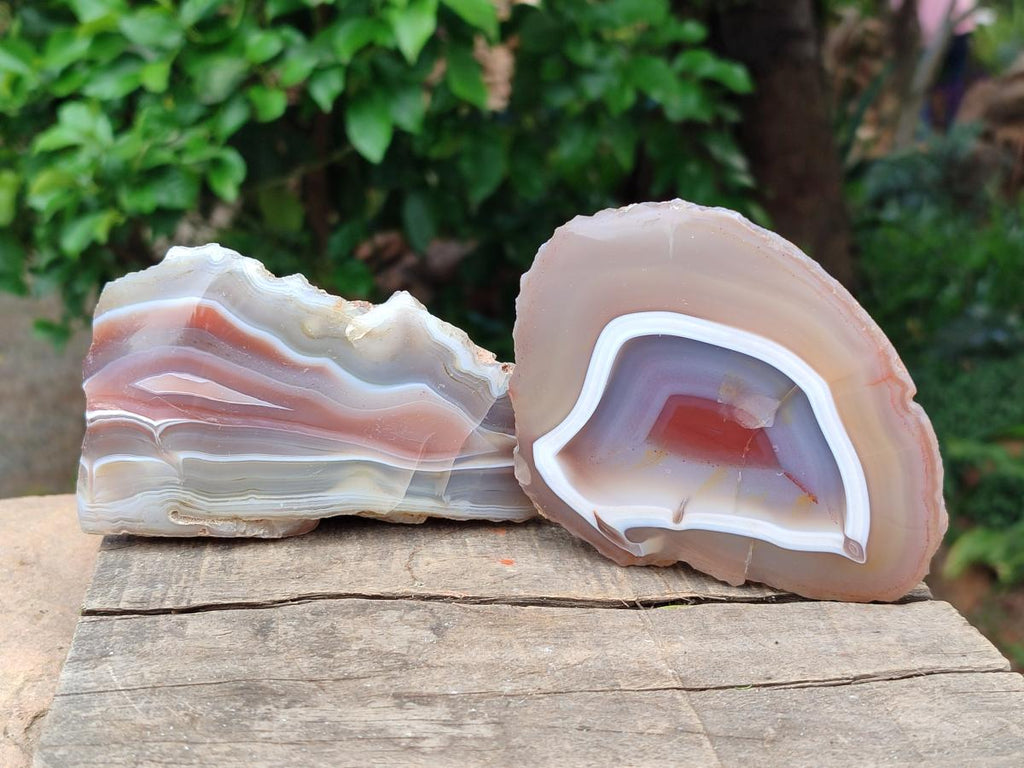Polished Red Shashe River Agate Nodules x 6 From Shashe River, Zimbabwe
