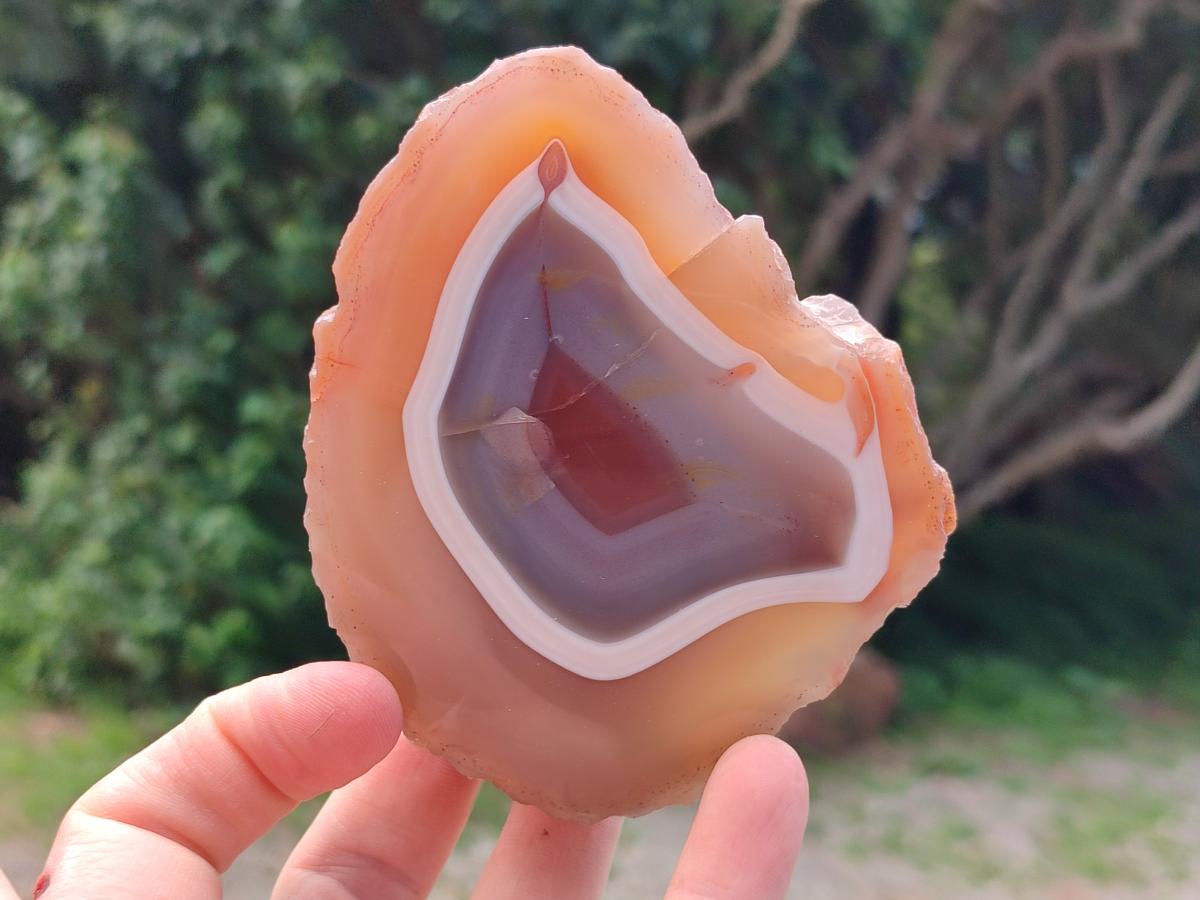 Polished Red Shashe River Agate Nodules x 6 From Shashe River, Zimbabwe
