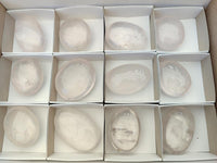 Polished Girasol Pearl Quartz Palm Stones x 12 From Ambatondrazaka, Madagascar