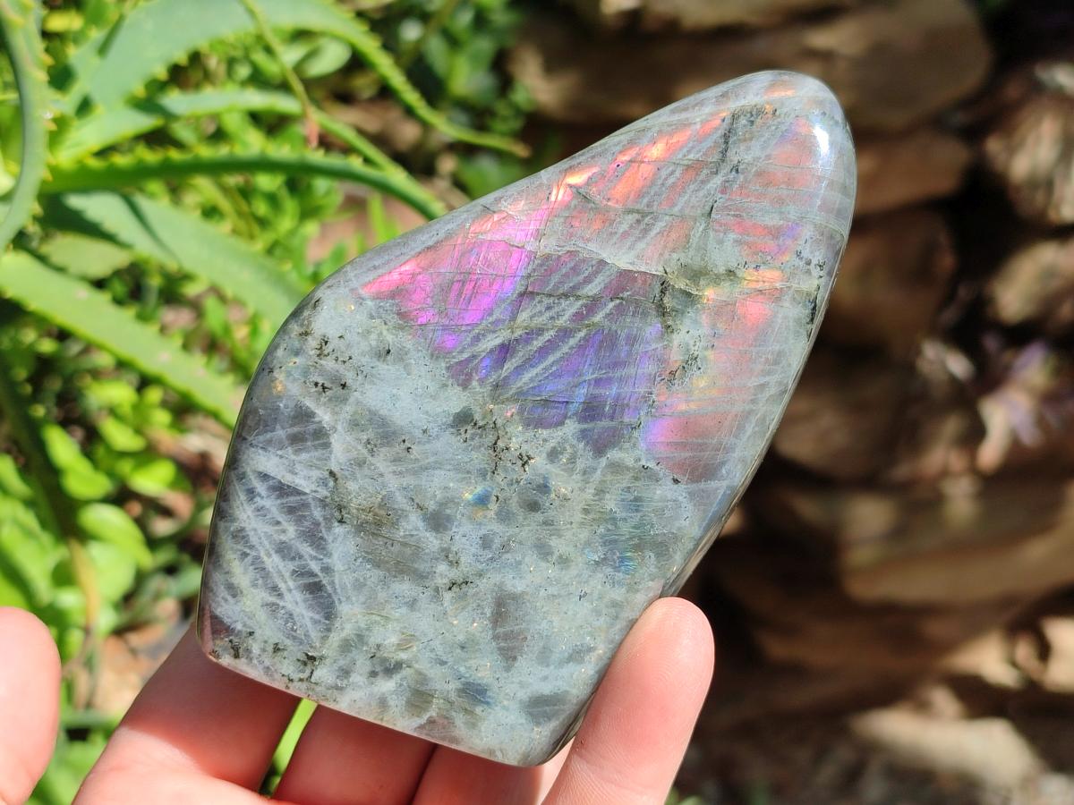 Polished Rare Purple Sunset Flash Labradorite Standing Free Forms x 3 From Madagascar
