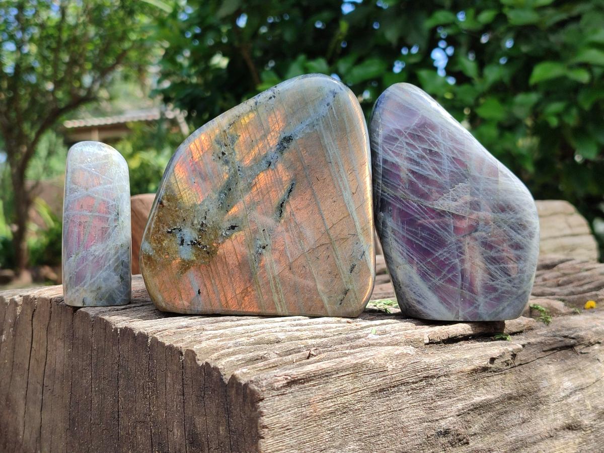 Polished Rare Purple Sunset Flash Labradorite Standing Free Forms x 3 From Madagascar
