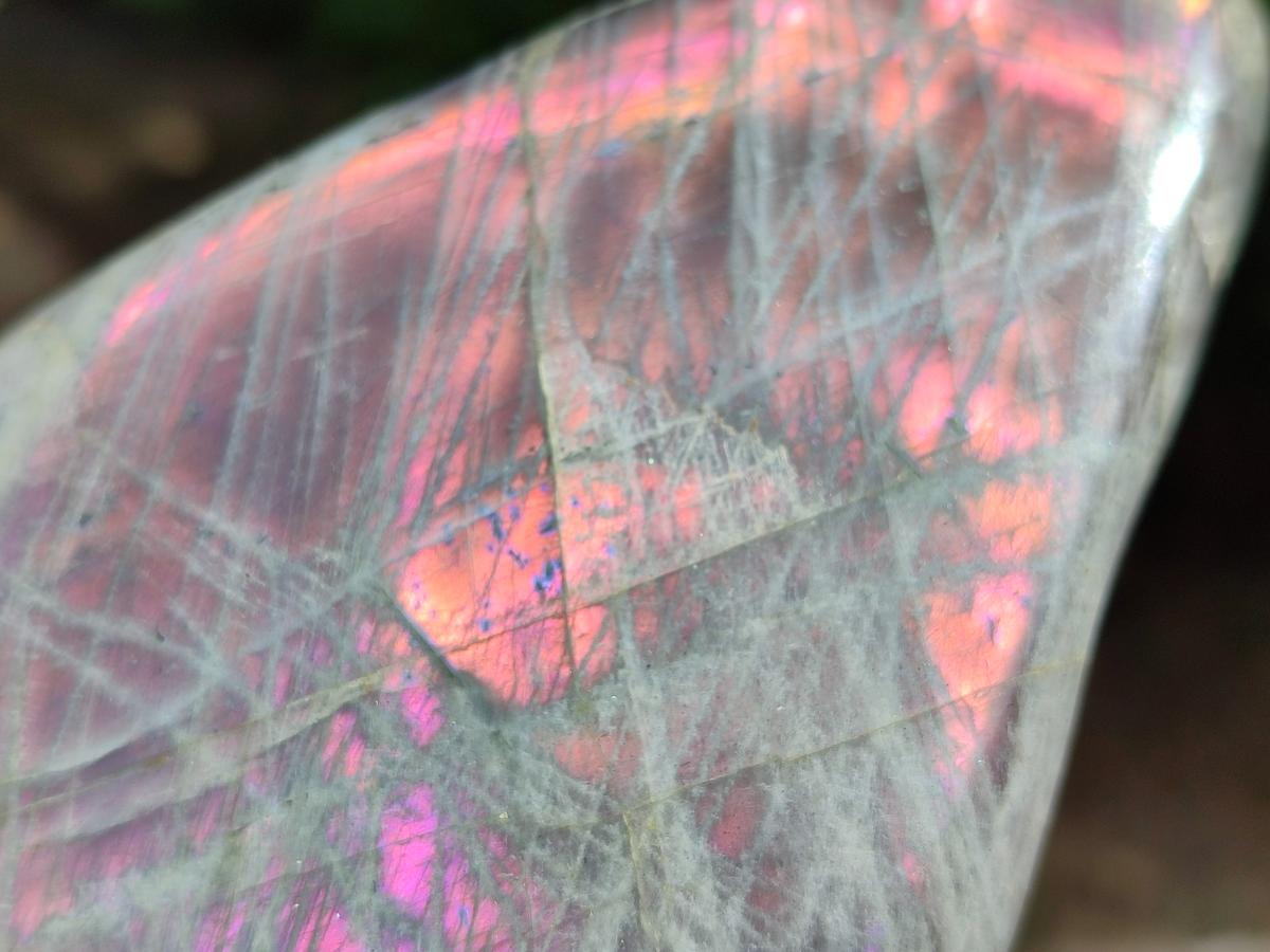 Polished Rare Purple Sunset Flash Labradorite Standing Free Forms x 3 From Madagascar