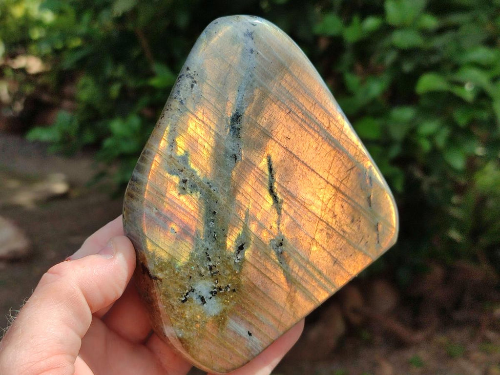 Polished Rare Purple Sunset Flash Labradorite Standing Free Forms x 3 From Madagascar