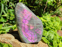 Polished Rare Purple Sunset Flash Labradorite Standing Free Forms x 3 From Madagascar
