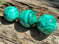 Polished Flower Banded Malachite Spheres x 6 From Congo