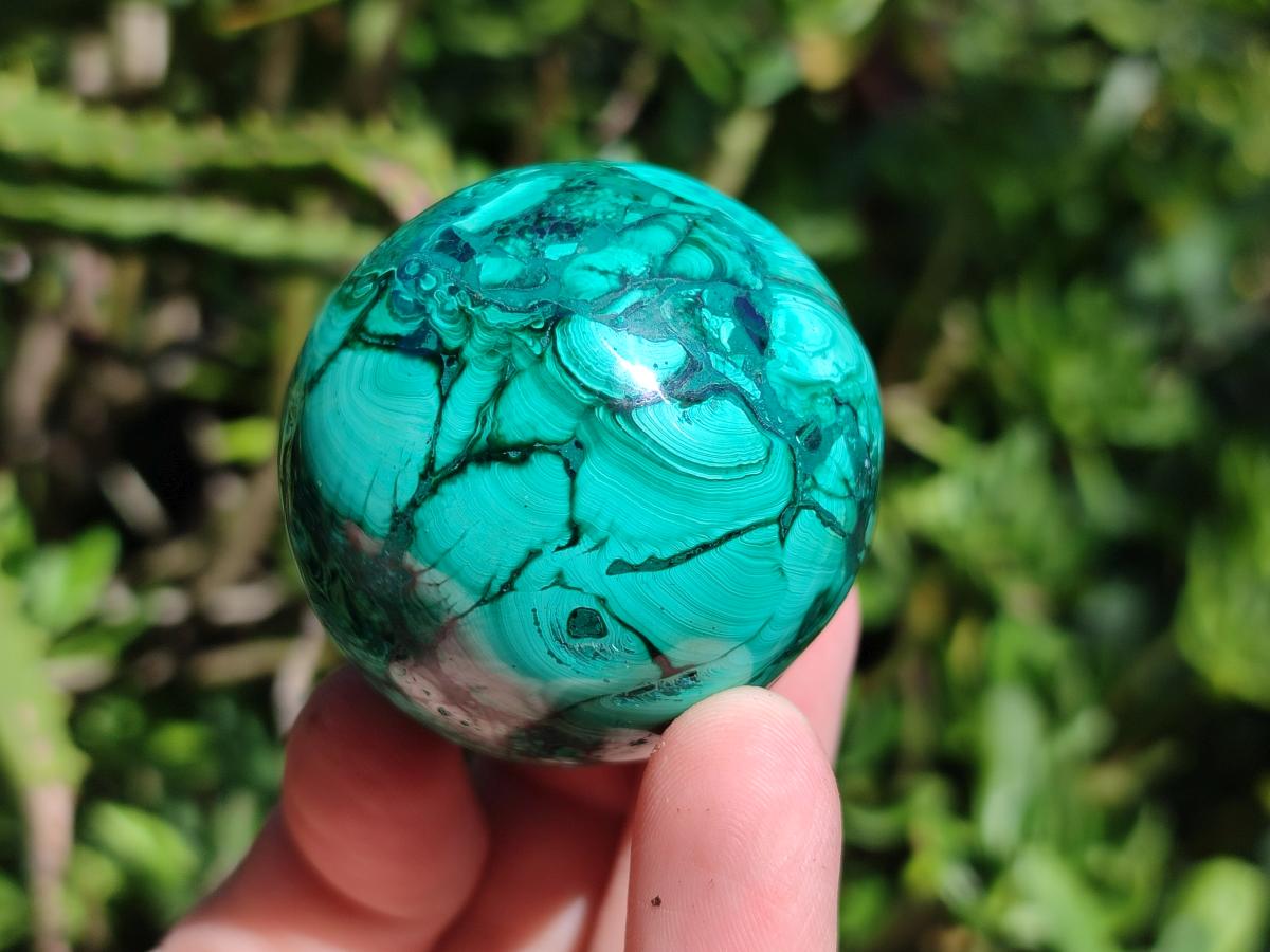 Polished Flower Banded Malachite Spheres x 6 From Congo
