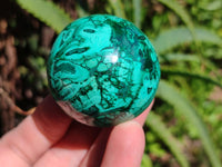 Polished Flower Banded Malachite Spheres x 6 From Congo