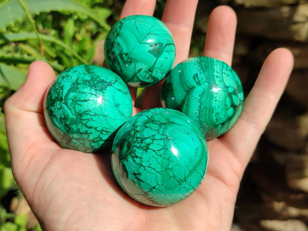 Polished Flower Banded Malachite Spheres x 6 From Congo