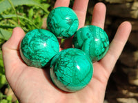 Polished Flower Banded Malachite Spheres x 6 From Congo