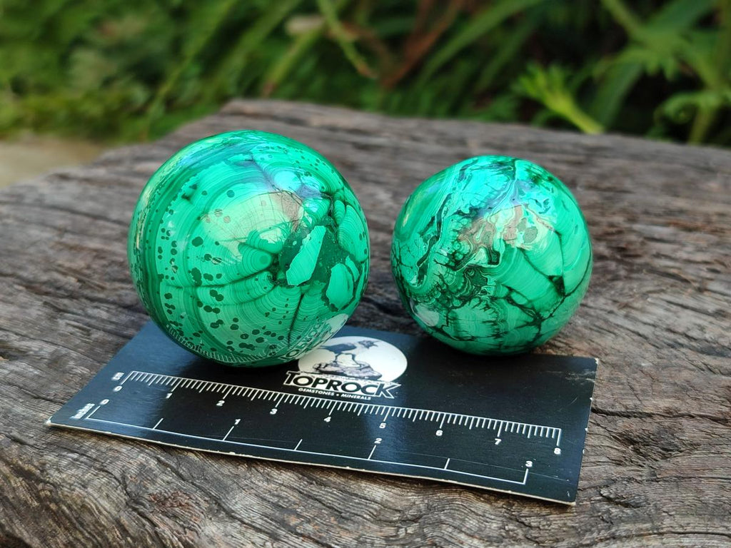 Polished Flower Banded Malachite Spheres x 6 From Congo