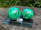 Polished Flower Banded Malachite Spheres x 6 From Congo