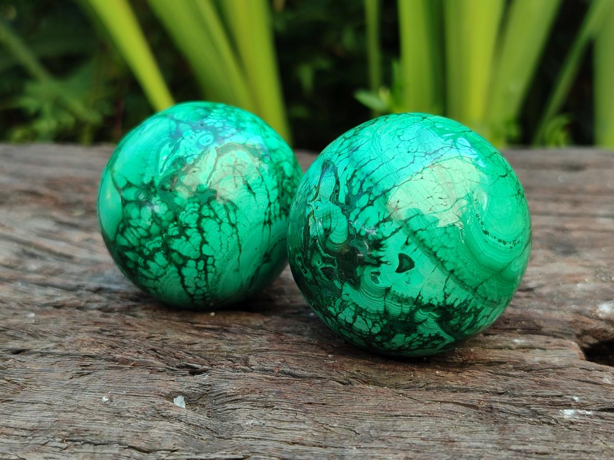 Polished Flower Banded Malachite Spheres x 6 From Congo