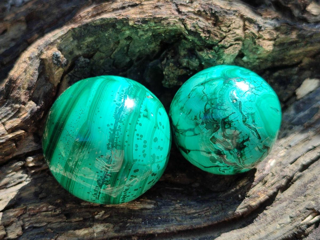 Polished Flower Banded Malachite Spheres x 6 From Congo