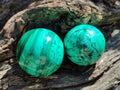 Polished Flower Banded Malachite Spheres x 6 From Congo