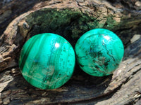 Polished Flower Banded Malachite Spheres x 6 From Congo