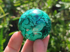 Polished Flower Banded Malachite Spheres x 6 From Congo