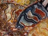 Hand Made Ammonite Conglomerate Display Plaques x 3 From Mahajanga, Madagascar