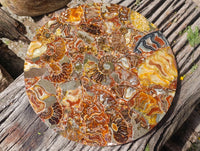 Hand Made Ammonite Conglomerate Display Plaques x 3 From Mahajanga, Madagascar