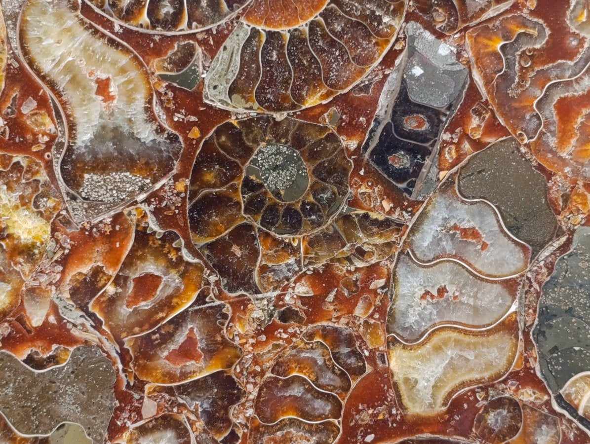 Hand Made Ammonite Conglomerate Display Plaques x 3 From Mahajanga, Madagascar