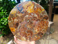 Hand Made Ammonite Conglomerate Display Plaques x 3 From Mahajanga, Madagascar