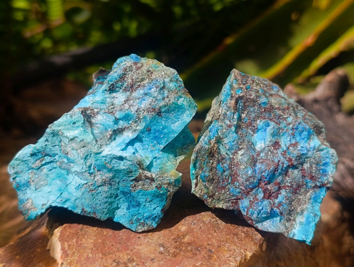 Natural Cobbed Shattuckite Specimens x 12 From Kaokoveld, Namibia