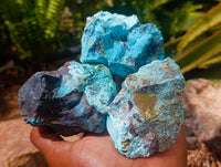 Natural Cobbed Shattuckite Specimens x 12 From Kaokoveld, Namibia