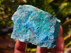 Natural Cobbed Shattuckite Specimens x 12 From Kaokoveld, Namibia