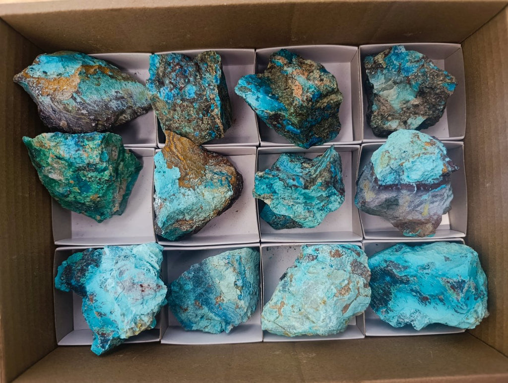 Natural Cobbed Shattuckite Specimens x 12 From Kaokoveld, Namibia