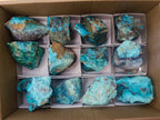 Natural Cobbed Shattuckite Specimens x 12 From Kaokoveld, Namibia
