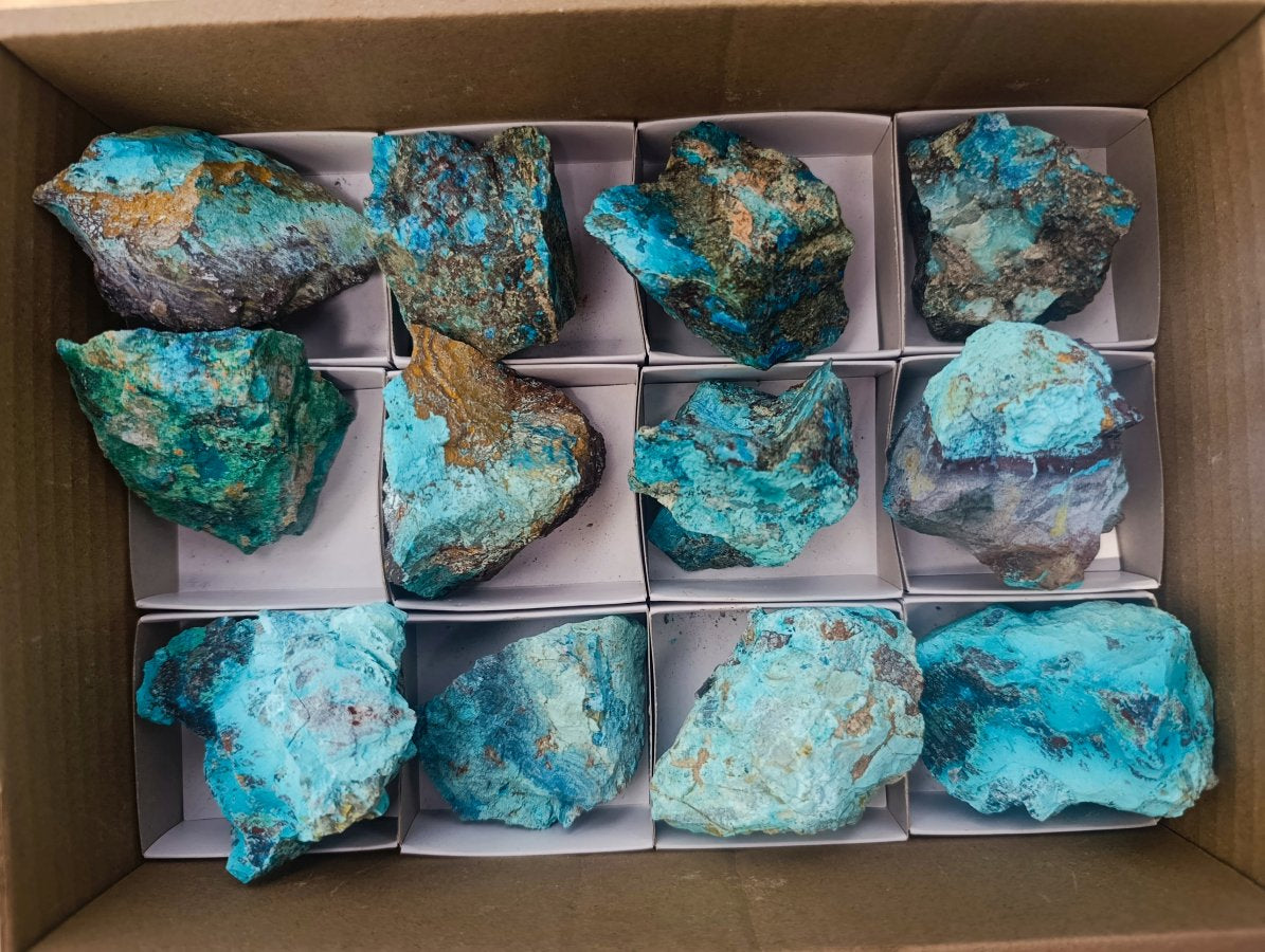 Natural Cobbed Shattuckite Specimens x 12 From Kaokoveld, Namibia