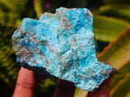 Natural Cobbed Shattuckite Specimens x 12 From Kaokoveld, Namibia