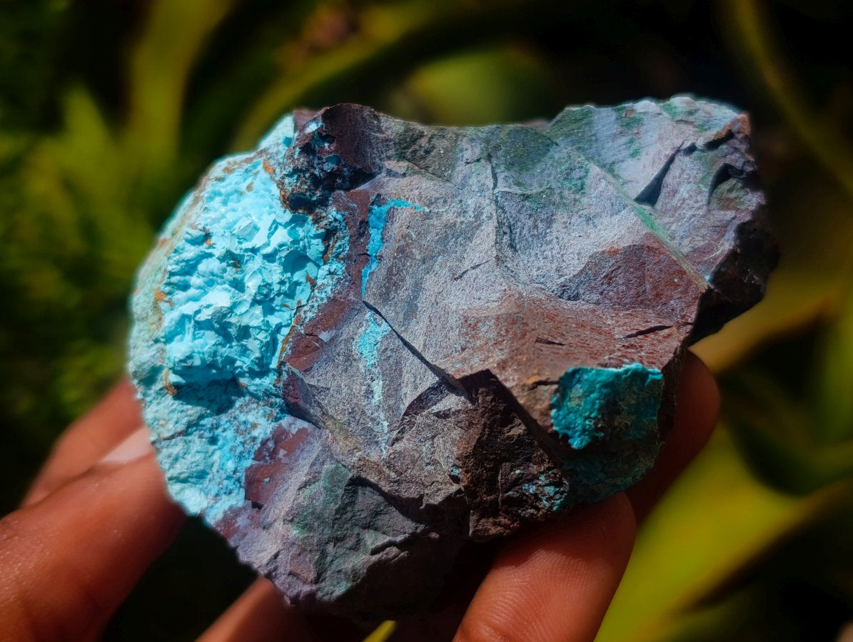 Natural Cobbed Shattuckite Specimens x 12 From Kaokoveld, Namibia