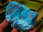 Natural Cobbed Shattuckite Specimens x 12 From Kaokoveld, Namibia