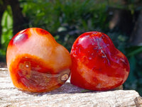 Polished Carnelian Agate Gemstone Hearts x 6 From Madagascar