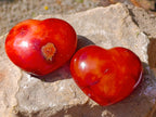 Polished Carnelian Agate Gemstone Hearts x 6 From Madagascar
