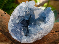 Natural Blue Celestite Geode Specimens x 2 From Sakoany, Madagascar