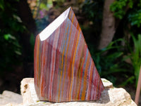 Polished Banded Tiger Iron Points x 2 From South Africa