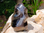 Polished Morion Smokey Quartz Flames x 2 From Madagascar