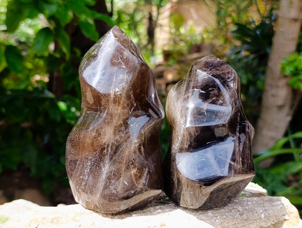 Polished Morion Smokey Quartz Flames x 2 From Madagascar