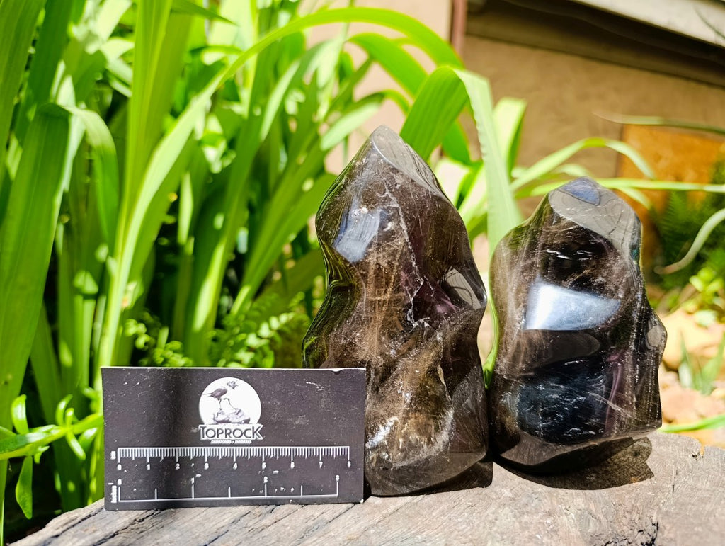 Polished Morion Smokey Quartz Flames x 2 From Madagascar
