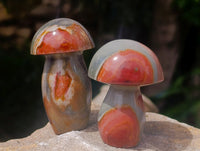 Polished Polychrome Jasper Mushrooms x 12 From NW Coast, Madagascar