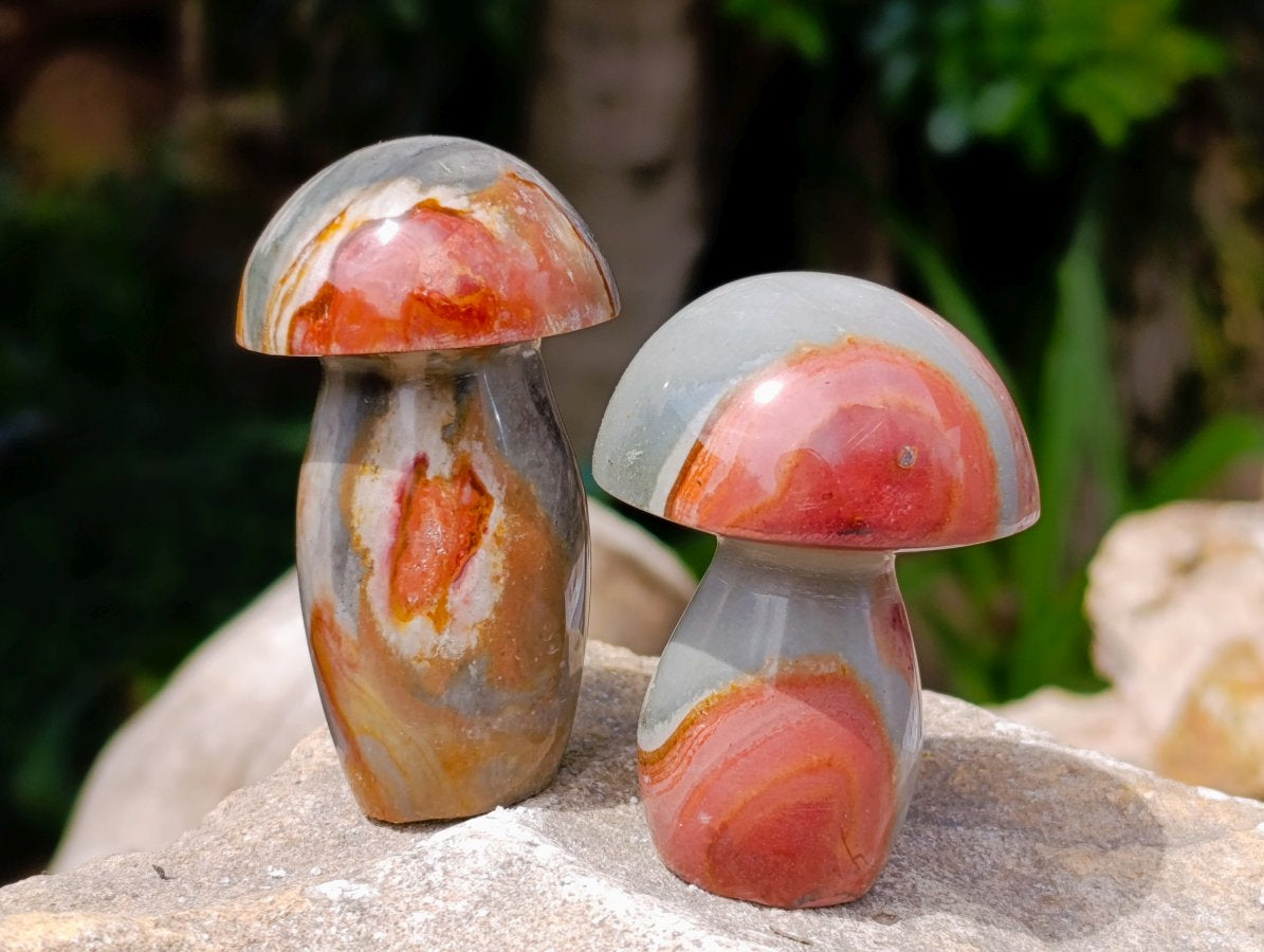 Polished Polychrome Jasper Mushrooms x 12 From NW Coast, Madagascar
