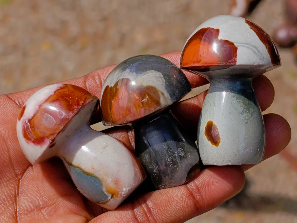 Polished Polychrome Jasper Mushrooms x 12 From NW Coast, Madagascar