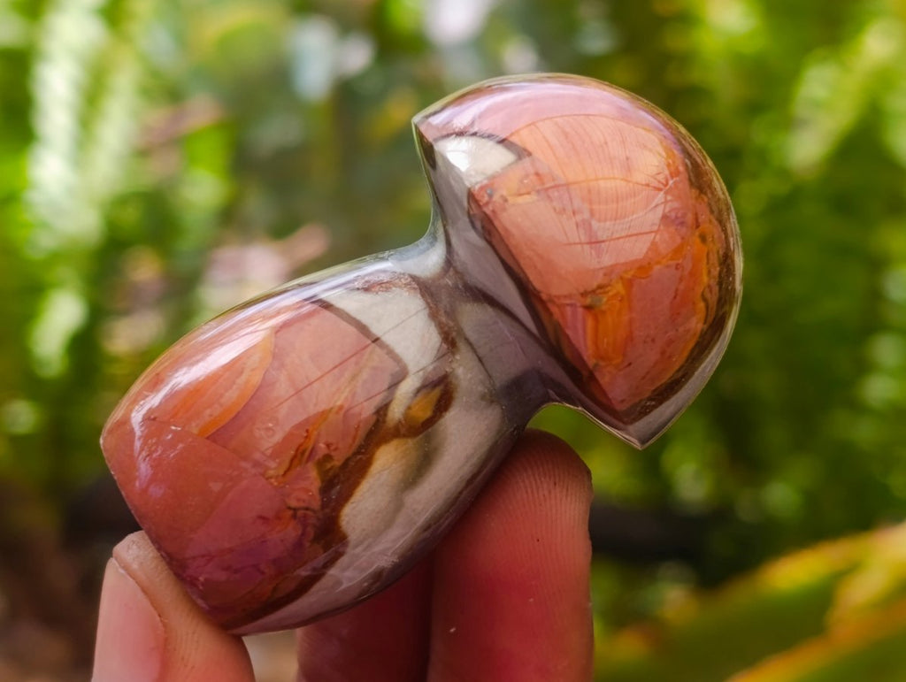 Polished Polychrome Jasper Mushrooms x 12 From NW Coast, Madagascar